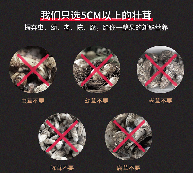 贡极极养礼盒详情-拷贝_09.jpg