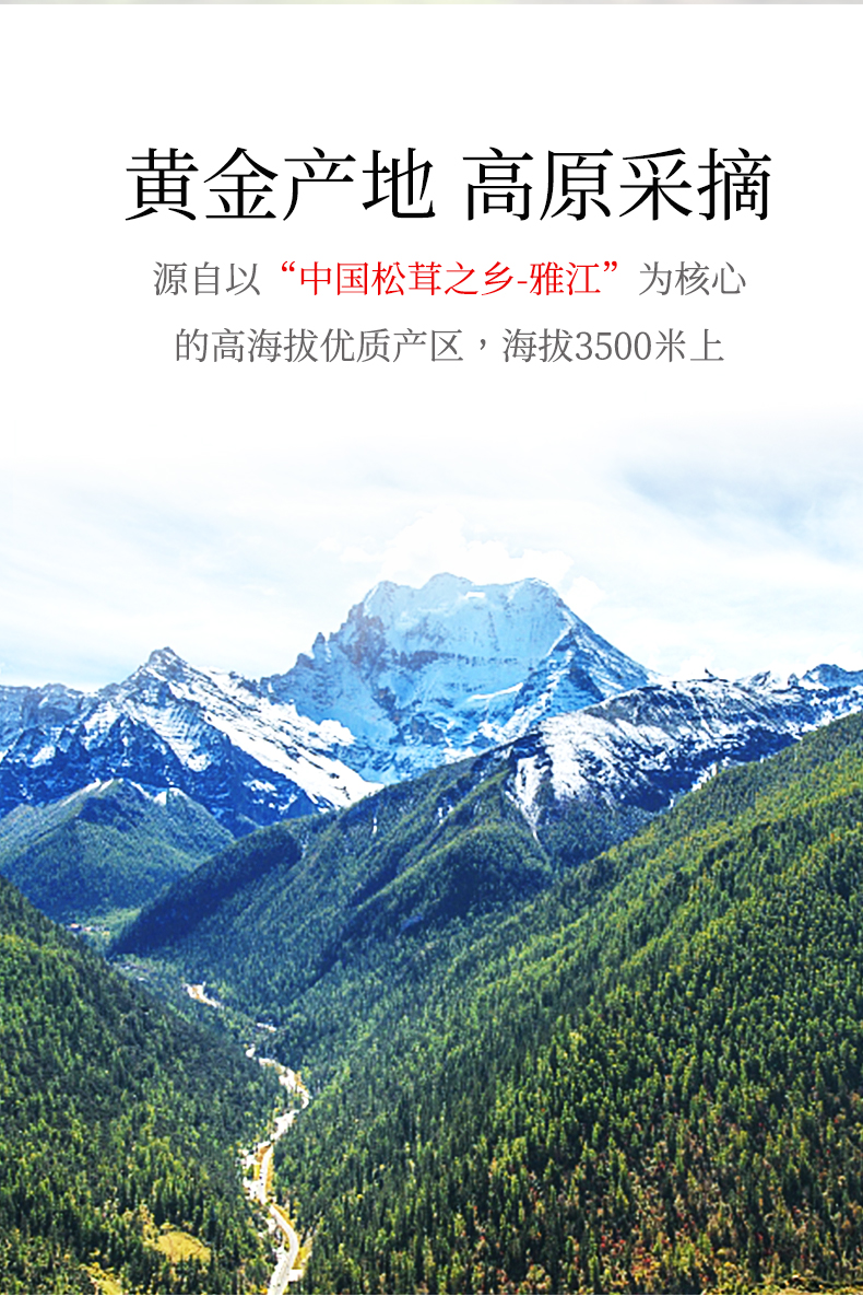 京东_12.jpg